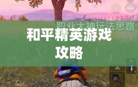 和平精英游戏攻略，玩转精英之路