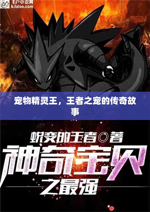 宠物精灵王，王者之宠的传奇故事