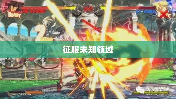 大番长攻略，征服未知领域的全面指南