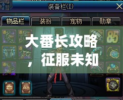 大番长攻略，征服未知领域的全面指南