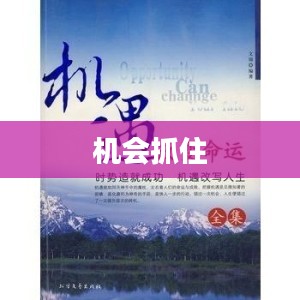 一生一次的机会，抓住它，改变命运