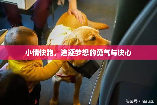 小倩快跑，追逐梦想的勇气与决心