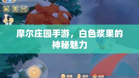 摩尔庄园手游，白色浆果的神秘魅力