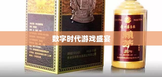 乱战下载，探索数字时代的游戏盛宴