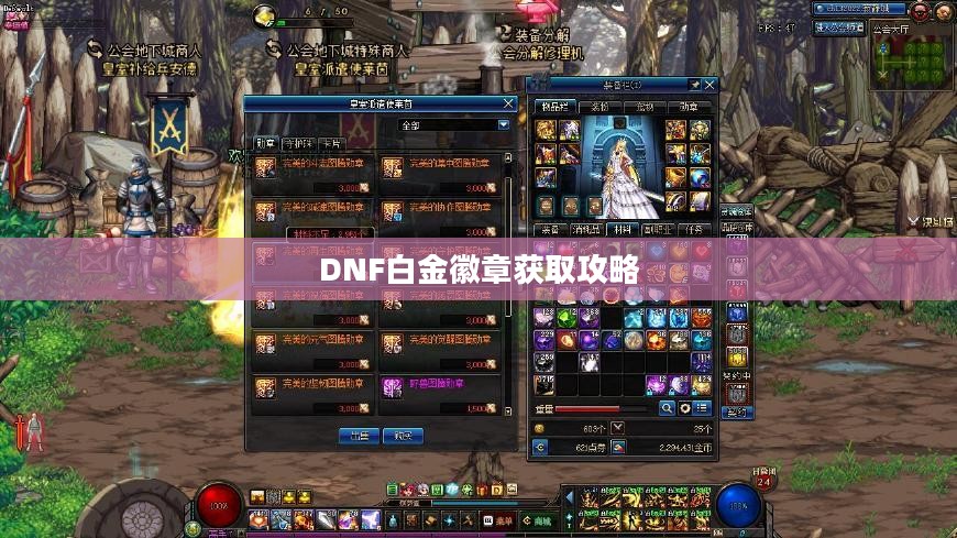 DNF白金徽章获取攻略