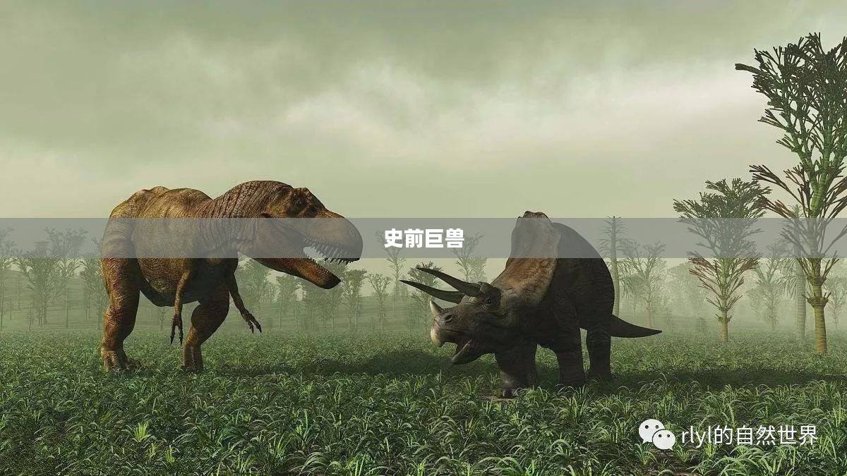 恐龙之谜，探寻史前巨兽的奥秘