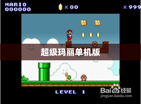 超级玛丽单机版秘籍攻略