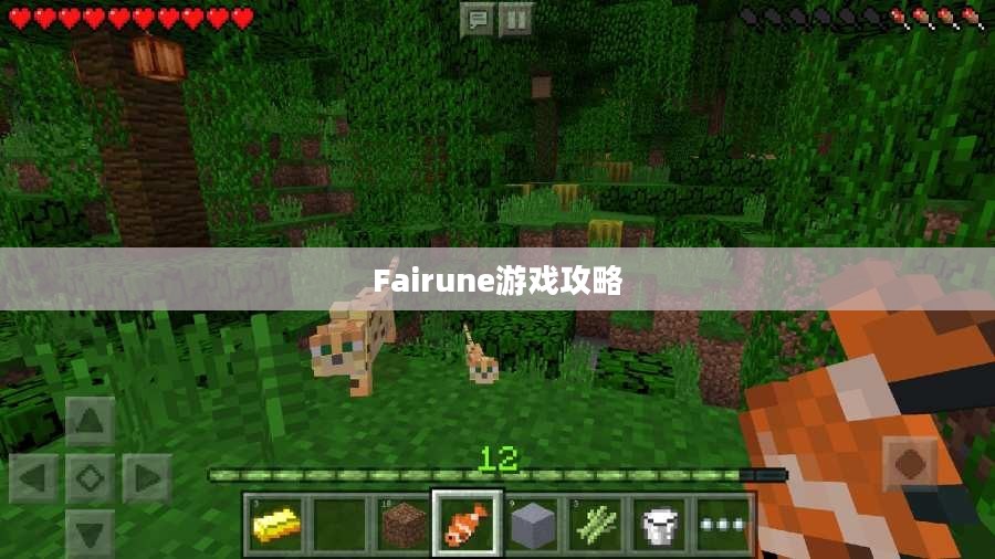 Fairune游戏攻略,探索未知世界的生存之道 Fairune游戏攻略,探索未知世界的生存之道