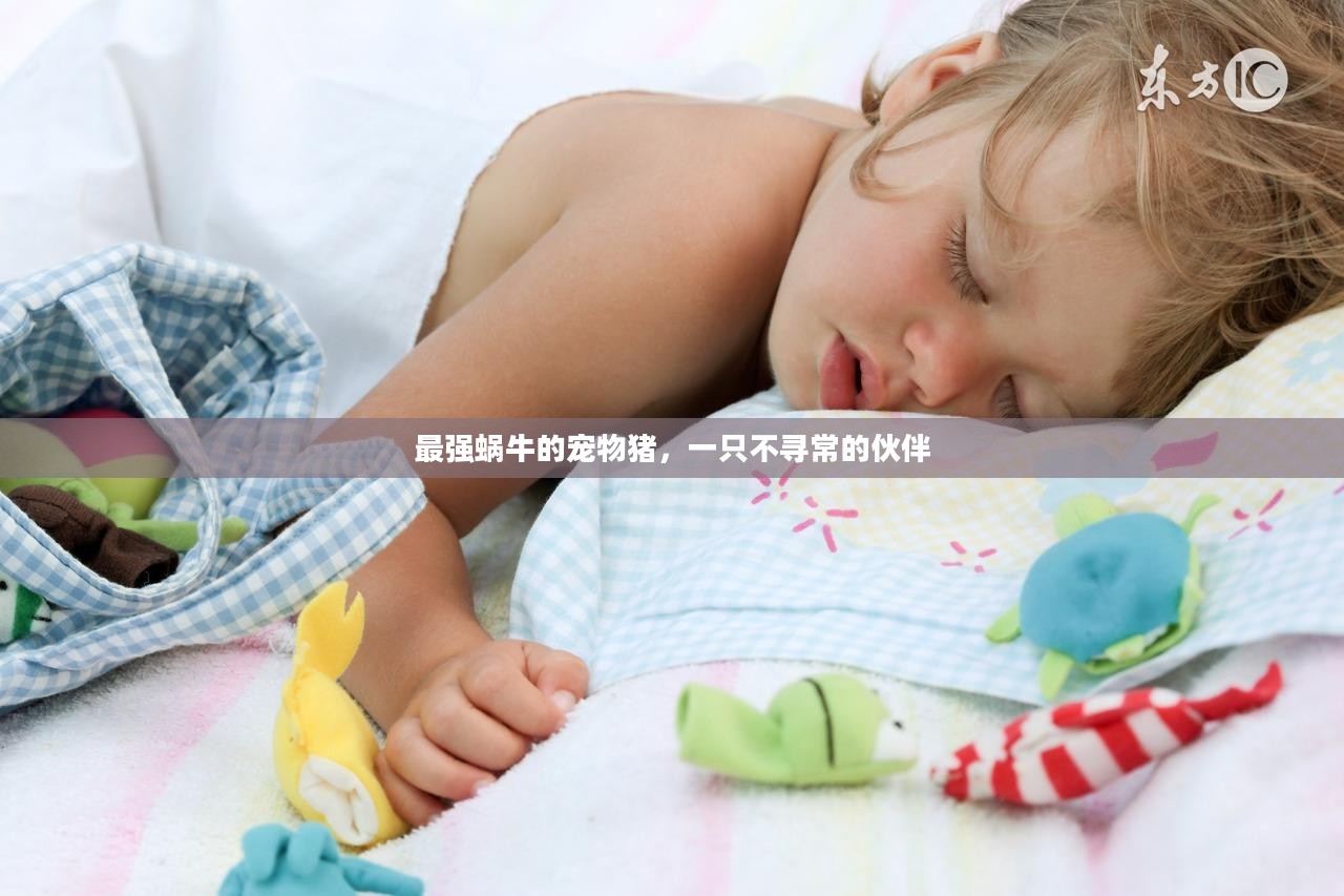 最强蜗牛的宠物猪，一只不寻常的伙伴