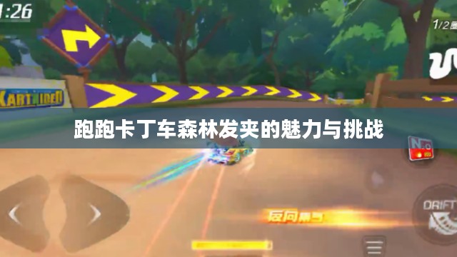 跑跑卡丁车森林发夹的魅力与挑战