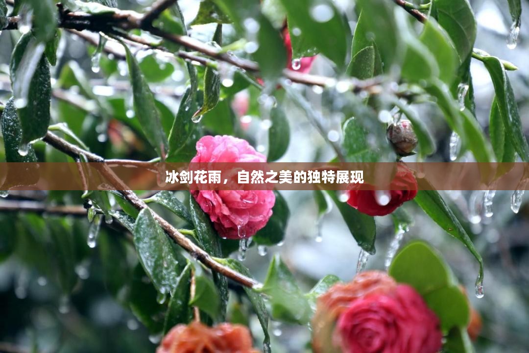 冰剑花雨，自然之美的独特展现