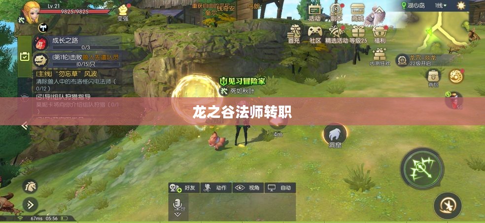 龙之谷法师转职，探索新的力量与策略