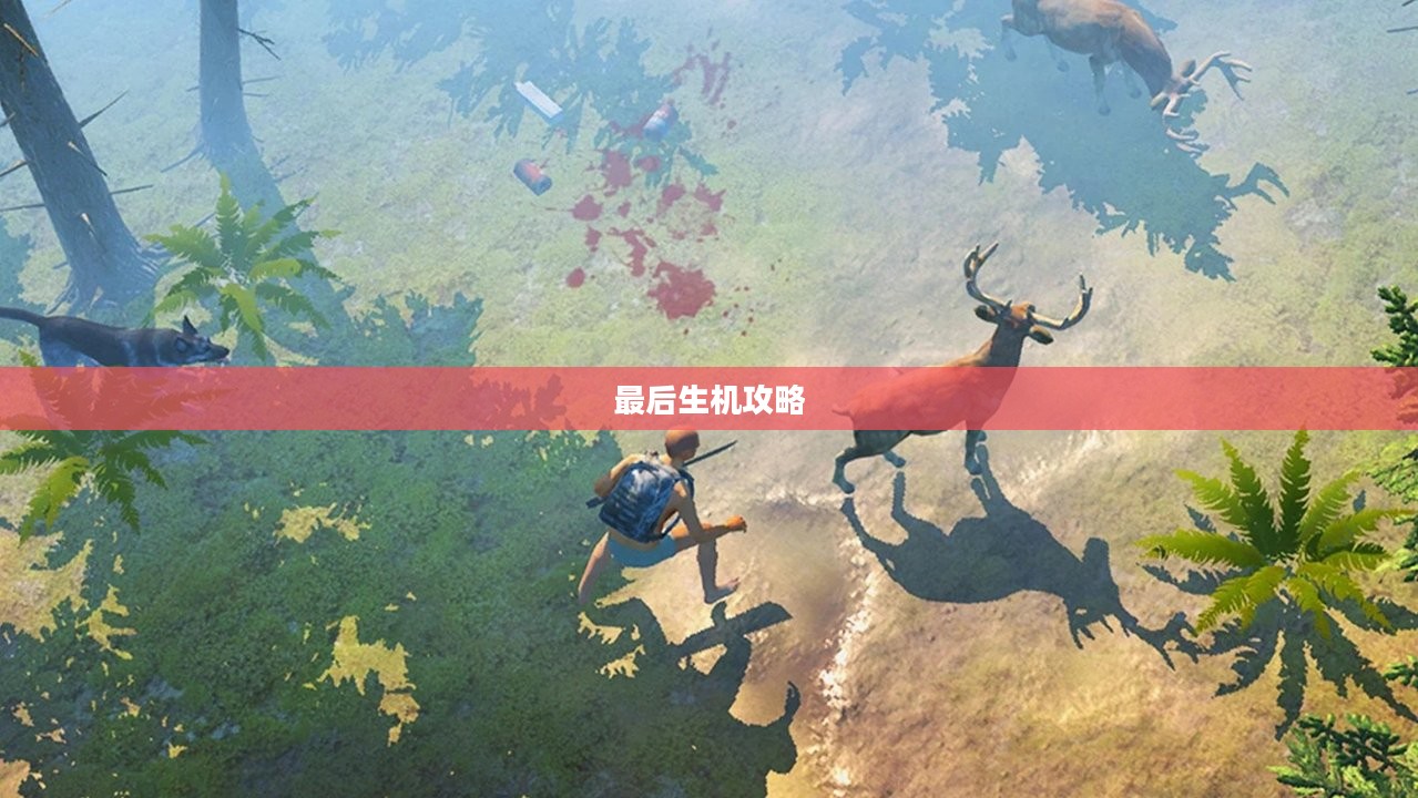 最后生机攻略，探索生存之道