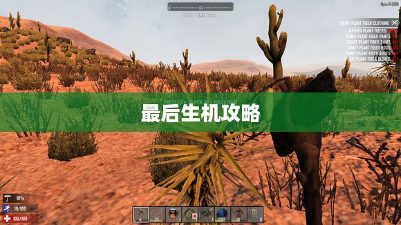 最后生机攻略，探索生存之道
