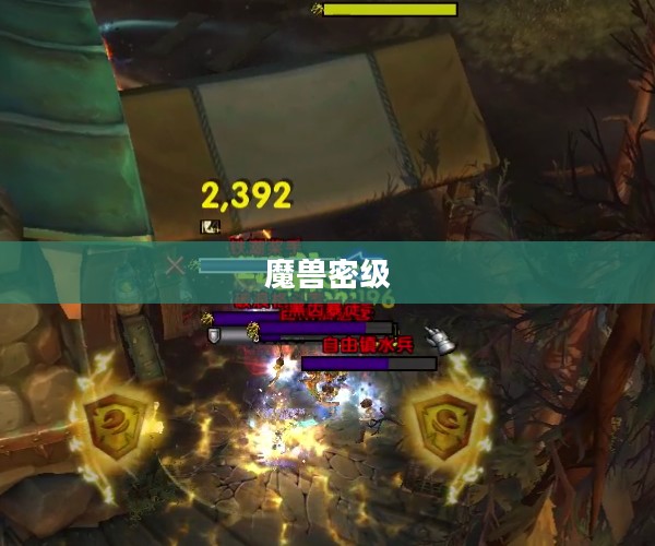 魔兽密级，探索未知世界的神秘之门