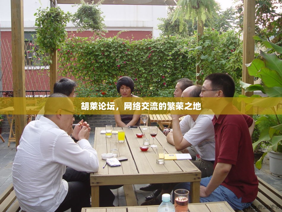胡莱论坛，网络交流的繁荣之地