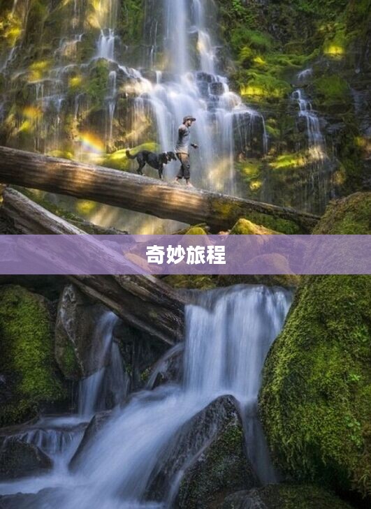 春光幻梦间,一场自然与心灵的奇妙旅程 春光幻梦间,一场自然与心灵的奇妙旅程