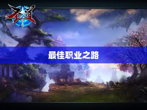 圣道传奇，探寻最佳职业之路
