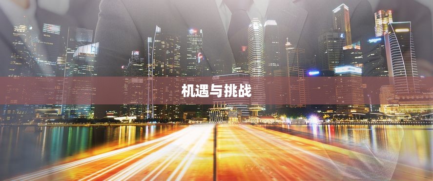 城市征伐，现代社会的挑战与机遇