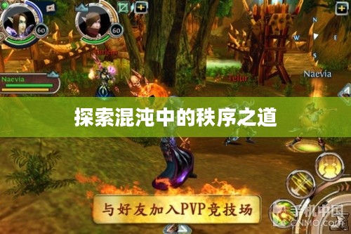 混乱与秩序官网,探索混沌中的秩序之道 混乱与秩序官网,探索混沌中的秩序之道