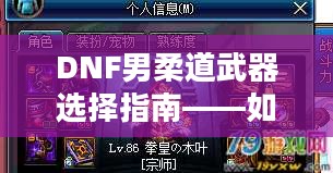 DNF男柔道武器选择指南——如何搭配最适合你的武器