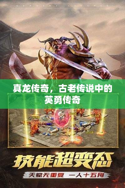 真龙传奇，古老传说中的英勇传奇