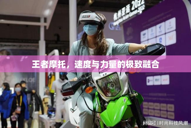 王者摩托，速度与力量的极致融合