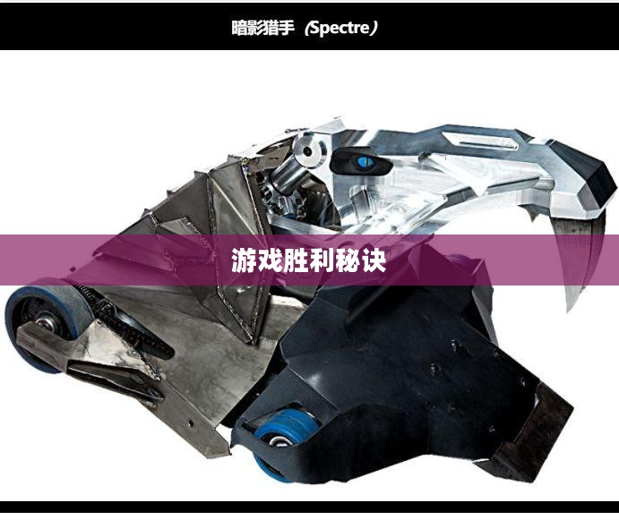 暗影猎手攻略，掌握游戏胜利的秘诀