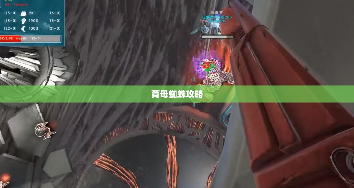 育母蜘蛛攻略，掌握游戏的关键所在