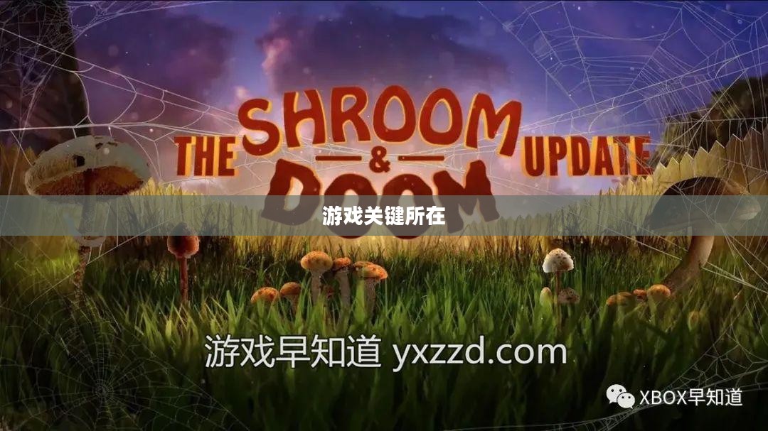 育母蜘蛛攻略，掌握游戏的关键所在