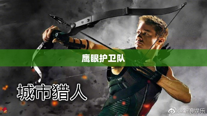 鹰眼护卫队,如何加入与成长之路 鹰眼护卫队,如何加入与成长之路