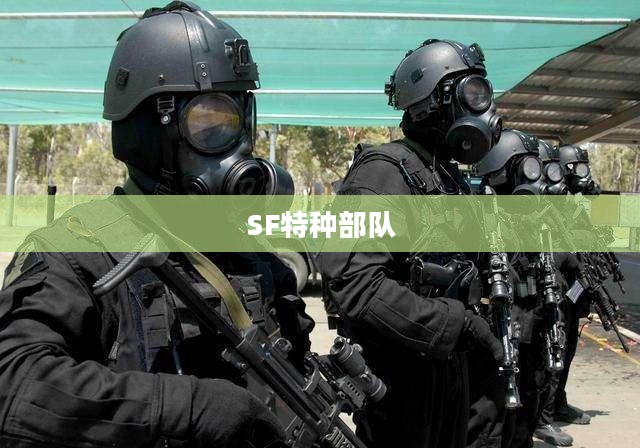 SF特种部队，精英中的精英