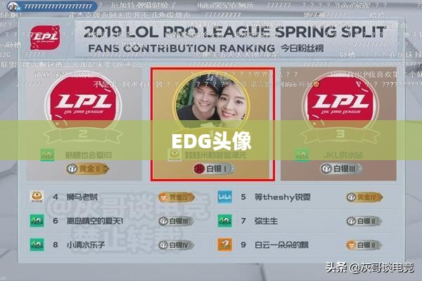 探究EDG头像,背后的故事与深层含义 探究EDG头像,背后的故事与深层含义