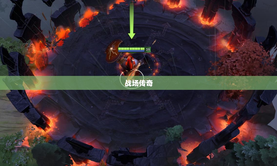 决斗之王，荣耀与策略交织的战场传奇
