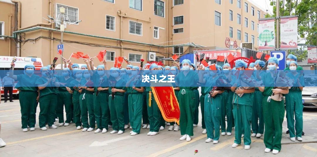 决斗之王,荣耀与策略交织的战场传奇 决斗之王,荣耀与策略交织的战场传奇