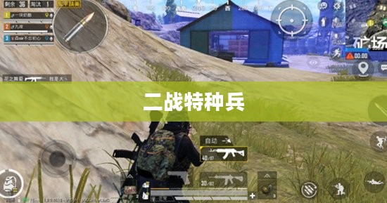 二战特种兵，精英中的精英