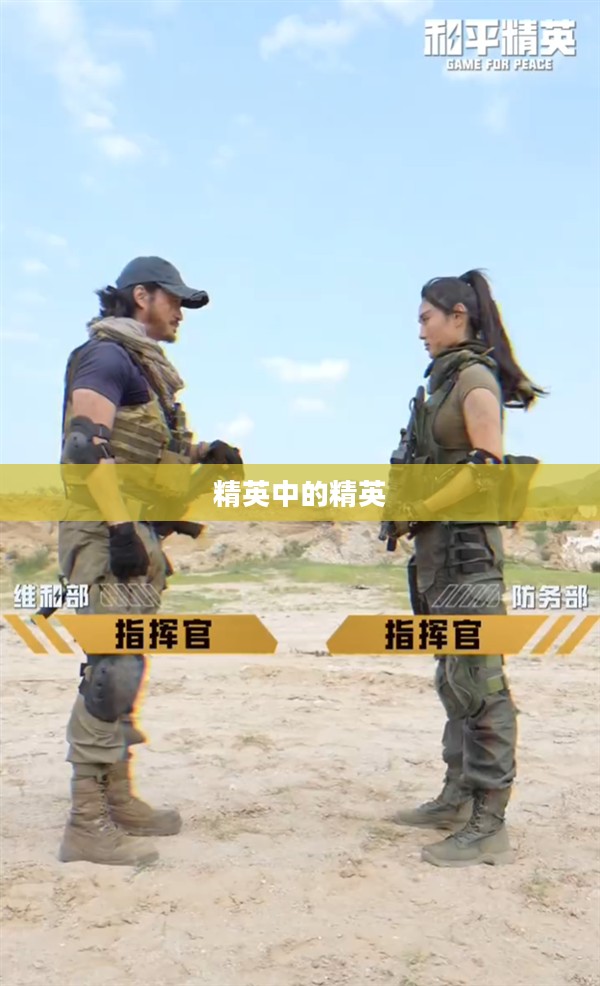二战特种兵，精英中的精英