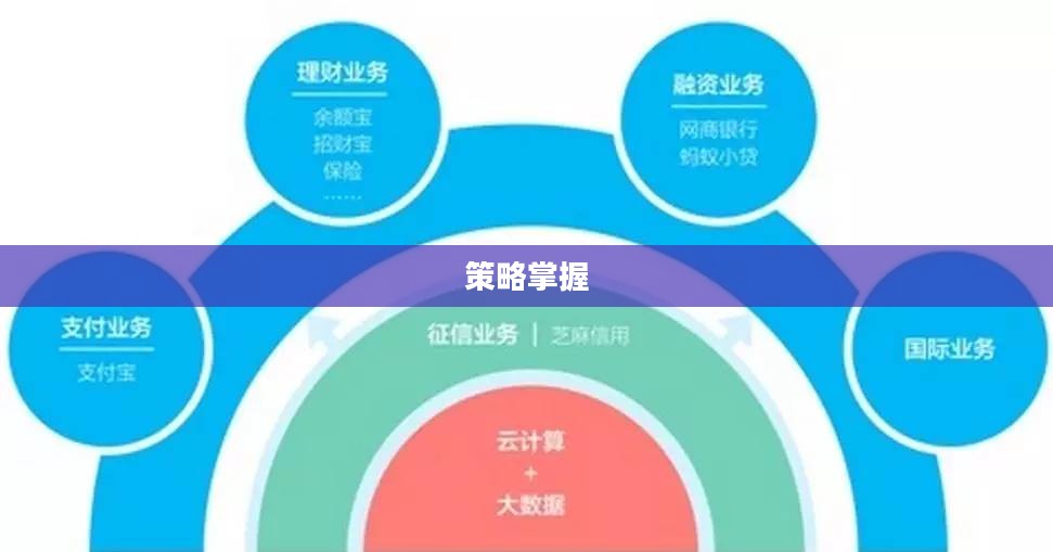 网金攻略，掌握网络金融的核心要素与策略