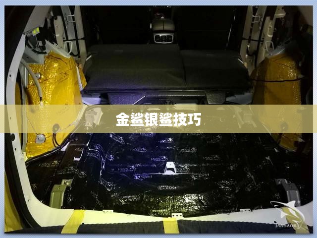 金鲨银鲨技巧，探索游戏中的制胜之道