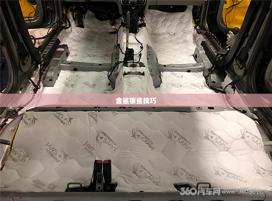 金鲨银鲨技巧，探索游戏中的制胜之道