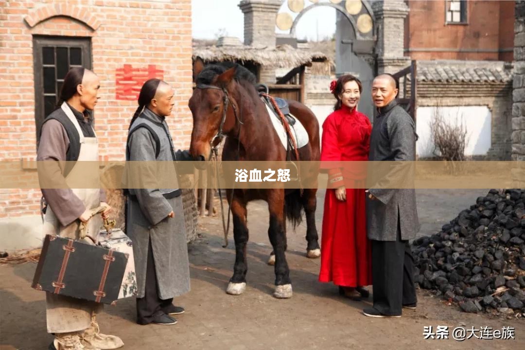 浴血之怒，战火中的英勇与坚韧