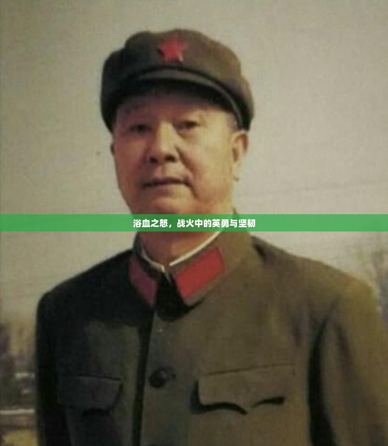 浴血之怒，战火中的英勇与坚韧