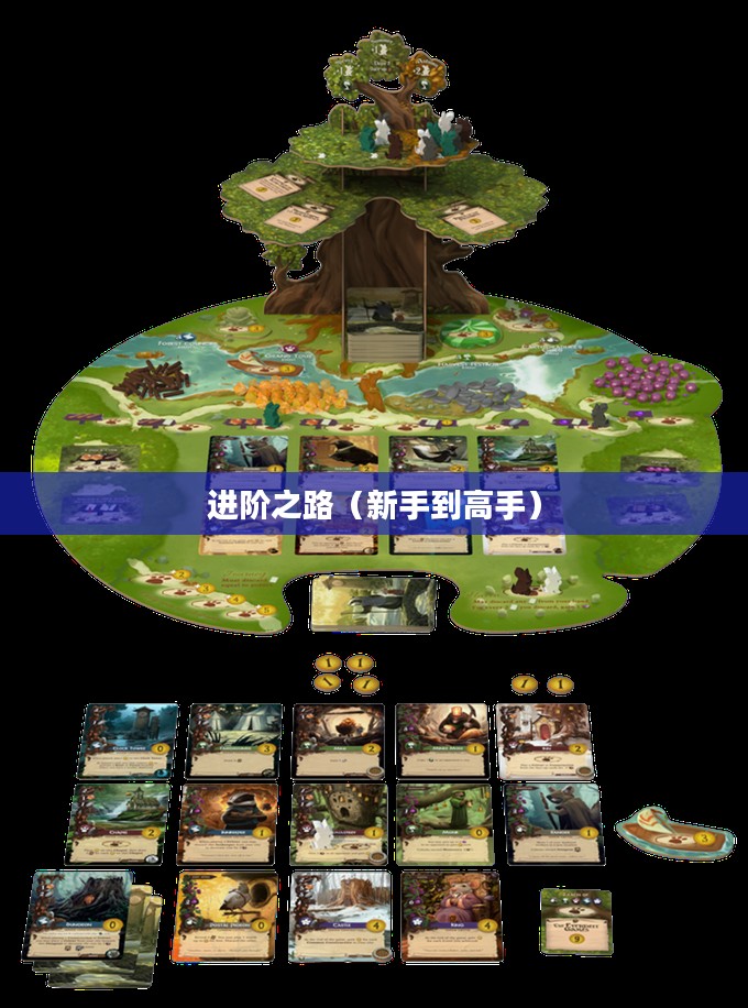 桌游攻略，从新手到高手的进阶之路