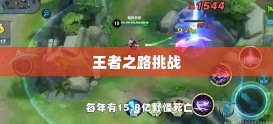 木木打野，王者之路的荣耀与挑战