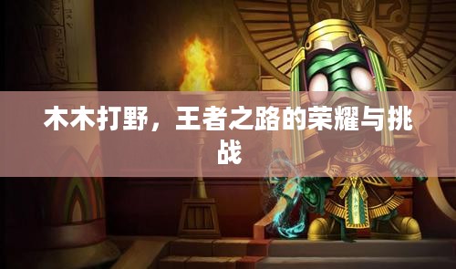 木木打野，王者之路的荣耀与挑战
