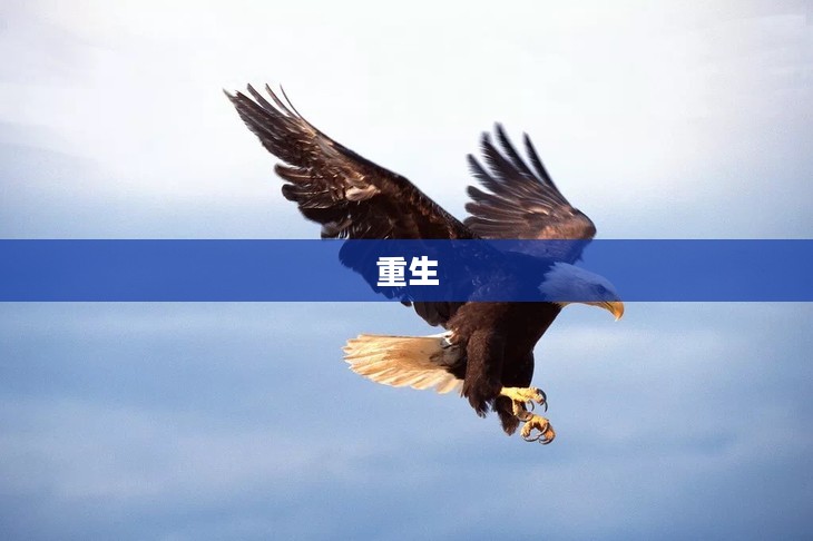 X之重生，无尽的可能与新的起点