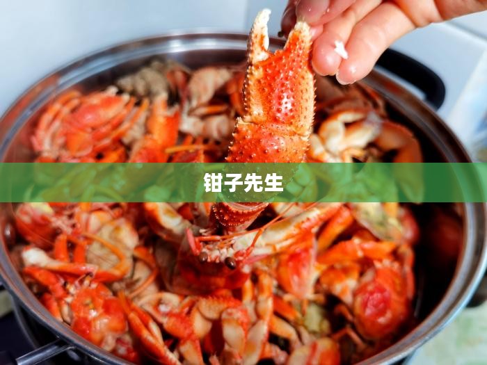 钳子先生的魔法龙虾盒