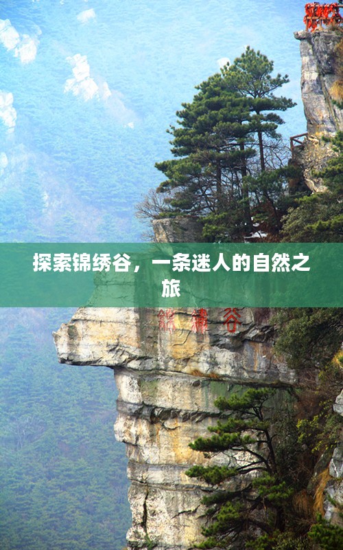 探索锦绣谷,一条迷人的自然之旅 探索锦绣谷,一条迷人的自然之旅