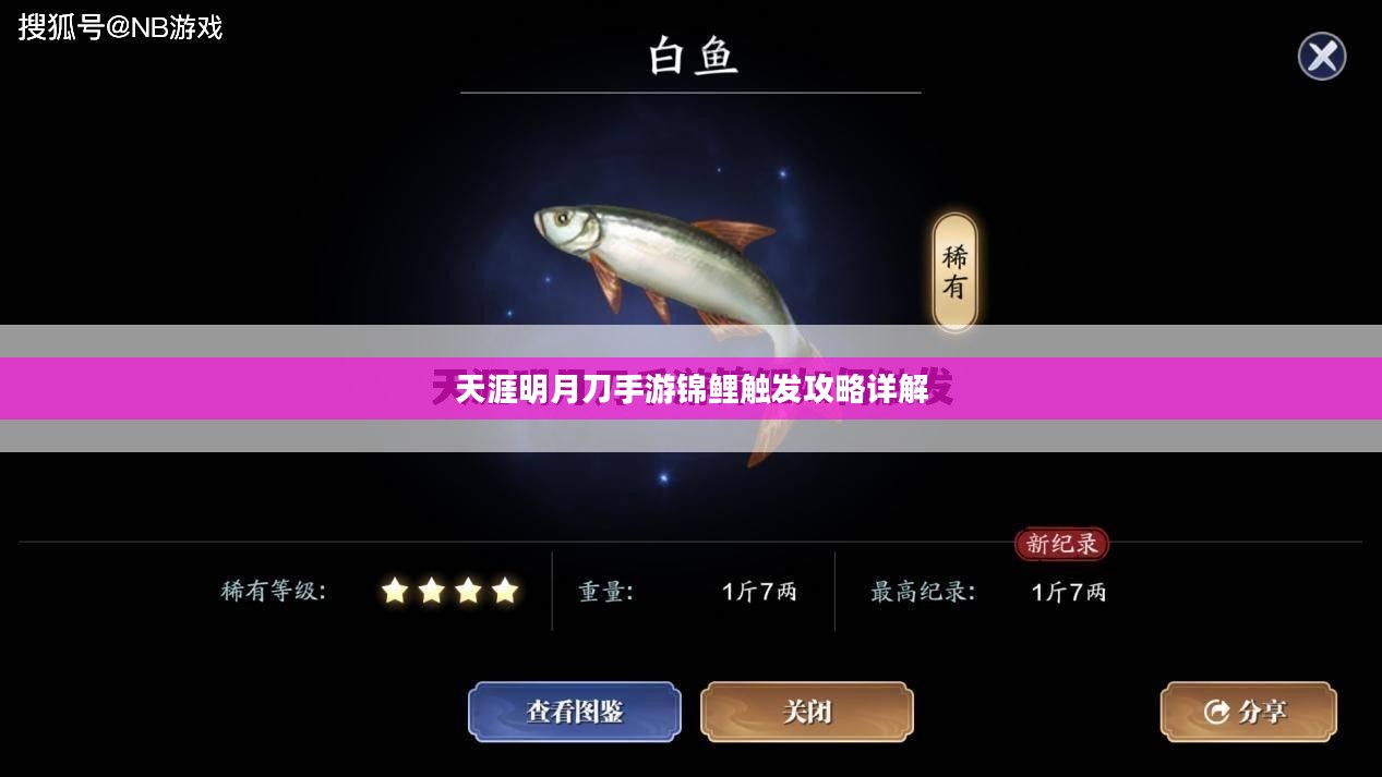 天涯明月刀手游锦鲤触发攻略详解 天涯明月刀手游锦鲤触发攻略详解