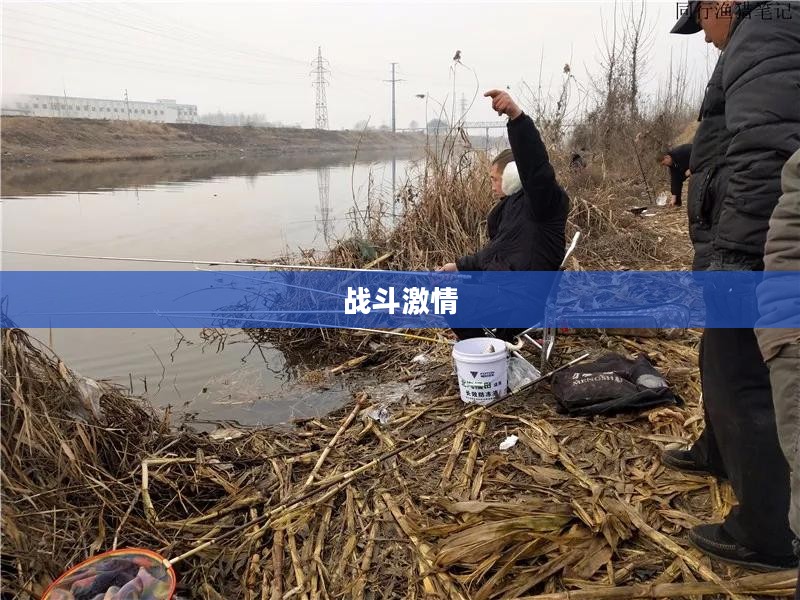 功夫之怒,热血燃烧的战斗激情 功夫之怒,热血燃烧的战斗激情